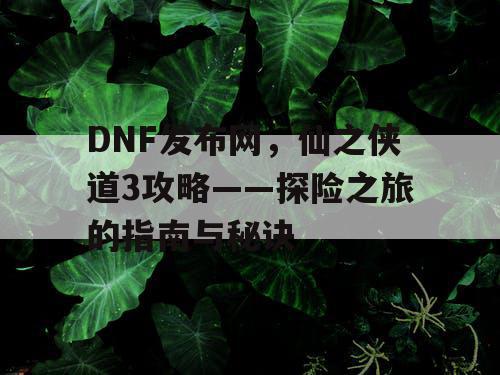 DNF发布网，仙之侠道3攻略——探险之旅的指南与秘诀