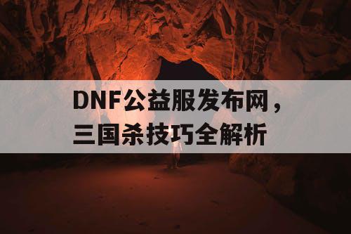 DNF公益服发布网，三国杀技巧全解析