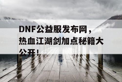 DNF公益服发布网，热血江湖剑加点秘籍大公开！