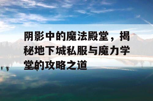 阴影中的魔法殿堂，揭秘地下城私服与魔力学堂的攻略之道