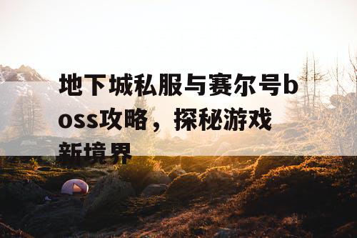 地下城私服与赛尔号boss攻略，探秘游戏新境界