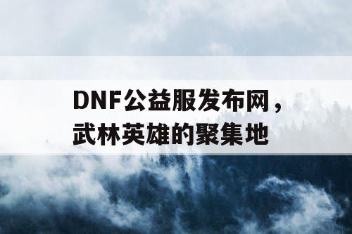 DNF公益服发布网，武林英雄的聚集地