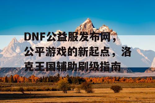 DNF公益服发布网，公平游戏的新起点，洛克王国辅助刷级指南