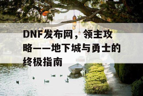 DNF发布网，领主攻略——地下城与勇士的终极指南