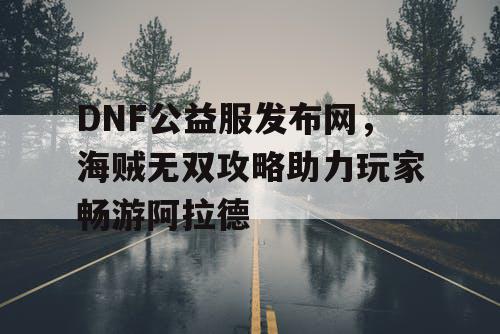 DNF公益服发布网，海贼无双攻略助力玩家畅游阿拉德