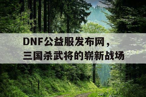 DNF公益服发布网，三国杀武将的崭新战场