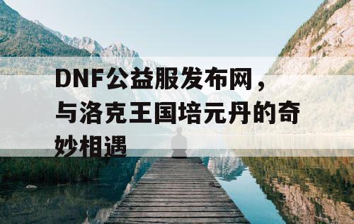 DNF公益服发布网，与洛克王国培元丹的奇妙相遇