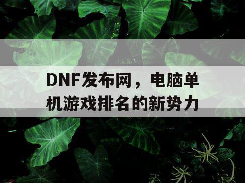 DNF发布网，电脑单机游戏排名的新势力