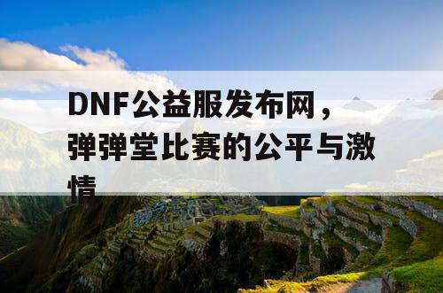 DNF公益服发布网，弹弹堂比赛的公平与激情